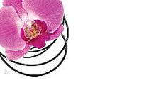 Load image into Gallery viewer, Enclosure Cards - Multiple Occasion - 50/Pk