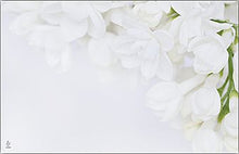 Load image into Gallery viewer, Enclosure Cards - Multiple Occasion - 50/Pk