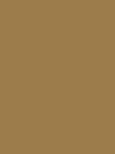 Load image into Gallery viewer, Design Master - Premium Metals Paint - Each