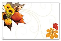 Load image into Gallery viewer, Enclosure Cards - Multiple Occasion - 50/Pk