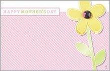 Load image into Gallery viewer, Enclosure Cards - Multiple Occasion - 50/Pk