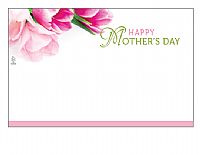 Load image into Gallery viewer, Enclosure Cards - Multiple Occasion - 50/Pk