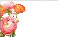 Load image into Gallery viewer, Enclosure Cards - Multiple Occasion - 50/Pk