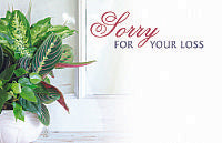 Load image into Gallery viewer, Enclosure Cards - Multiple Occasion - 50/Pk