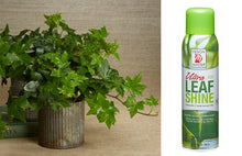 Load image into Gallery viewer, Design Master - Foliage & Flower Care Products - Each