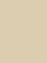 Load image into Gallery viewer, Design Master Colortool - Each