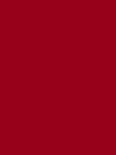 Load image into Gallery viewer, Design Master Colortool - Each