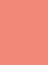 Load image into Gallery viewer, Design Master Colortool - Each