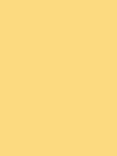 Load image into Gallery viewer, Design Master Colortool - Each