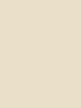 Load image into Gallery viewer, Design Master Colortool - Each