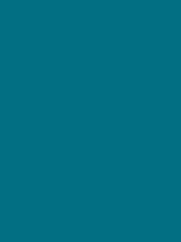 Load image into Gallery viewer, Design Master Colortool - Each