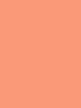 Load image into Gallery viewer, Design Master Colortool - Each