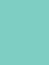 Load image into Gallery viewer, Design Master Colortool - Each