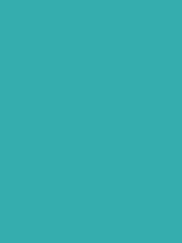 Load image into Gallery viewer, Design Master Colortool - Each