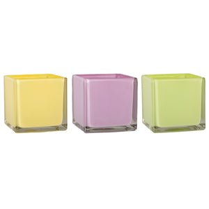 3065-06-2062  5" Square Vase Jellybean Asst. - 6/Cs