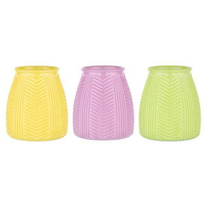 3657-12-2062 5" Botanical Vase - Jellybean Asst. - 12/case