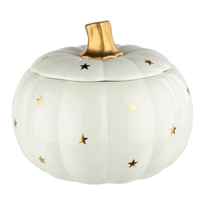 7406-06-3047 - 6 7/8" Stardust Pumpkin w/Lid & Pick - Each