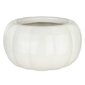 7412-06-22 - 5" White Pumpkin *w/o lid* - 6/case