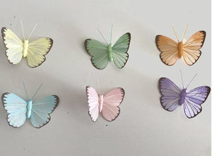 BN2005 2.5" Pastel Butterflies w/wire