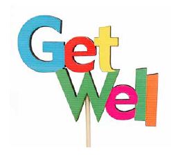 930685MUL Get Well Pick