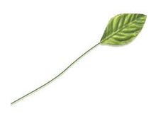 Load image into Gallery viewer, MA3843 Foil Corsage Leaves - Multiple Colors - 50/Pk
