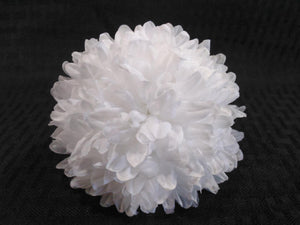 White Homecoming Mums - Multiple Sizes & Layers - 12/Pk
