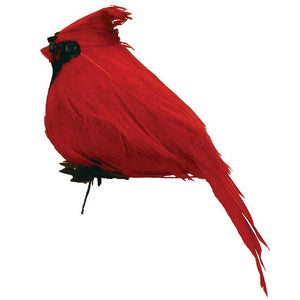 B571 2.5" Cardinal Sitting w/Feathers  - 12/Pk