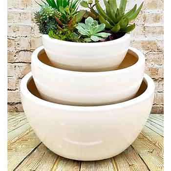 CL17W White Ceramic Dish Garden Trio - 3/Set