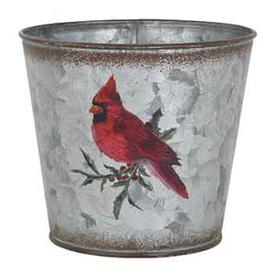 M1236  4.75" Cardinal on Silver Tin Pot - Each