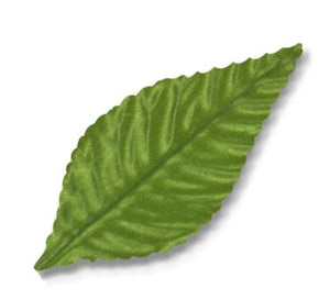 Corsage Leaf Moss Green 3" - 100/Pk