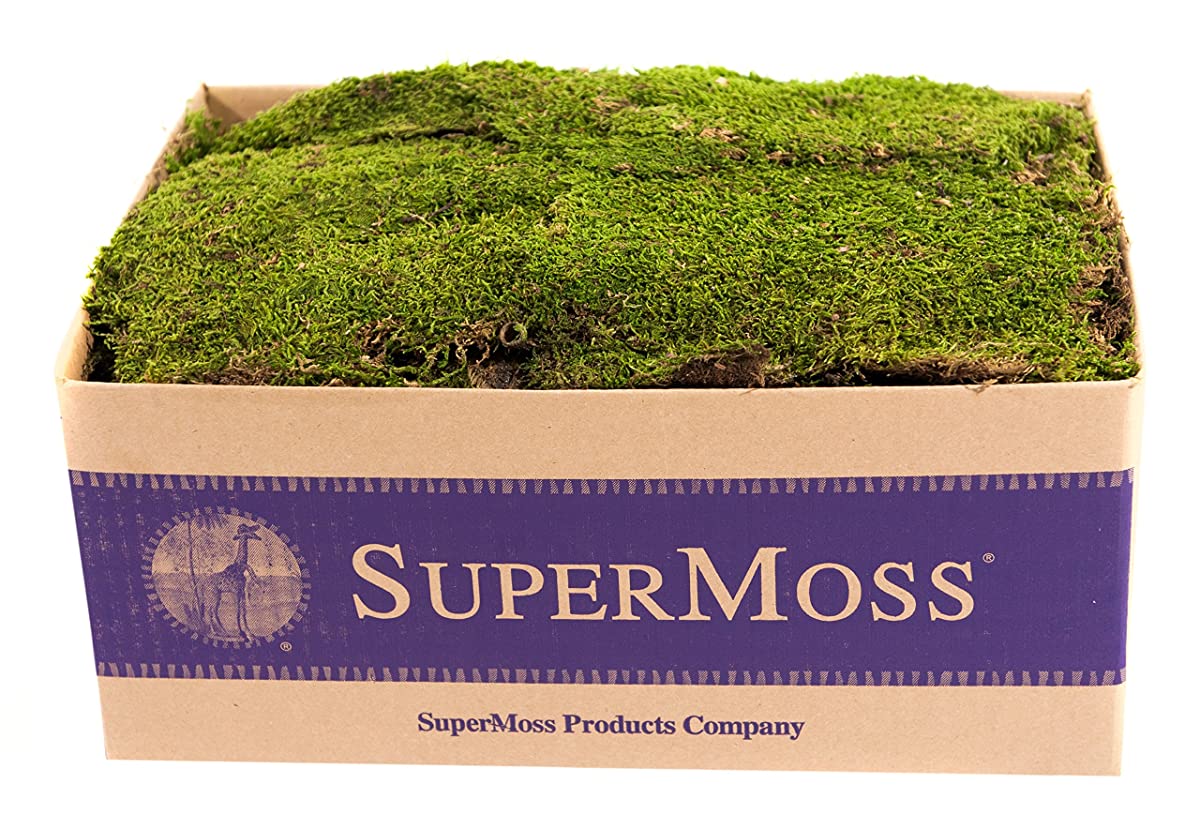 21508 Super Moss Preserved Sheet Moss
